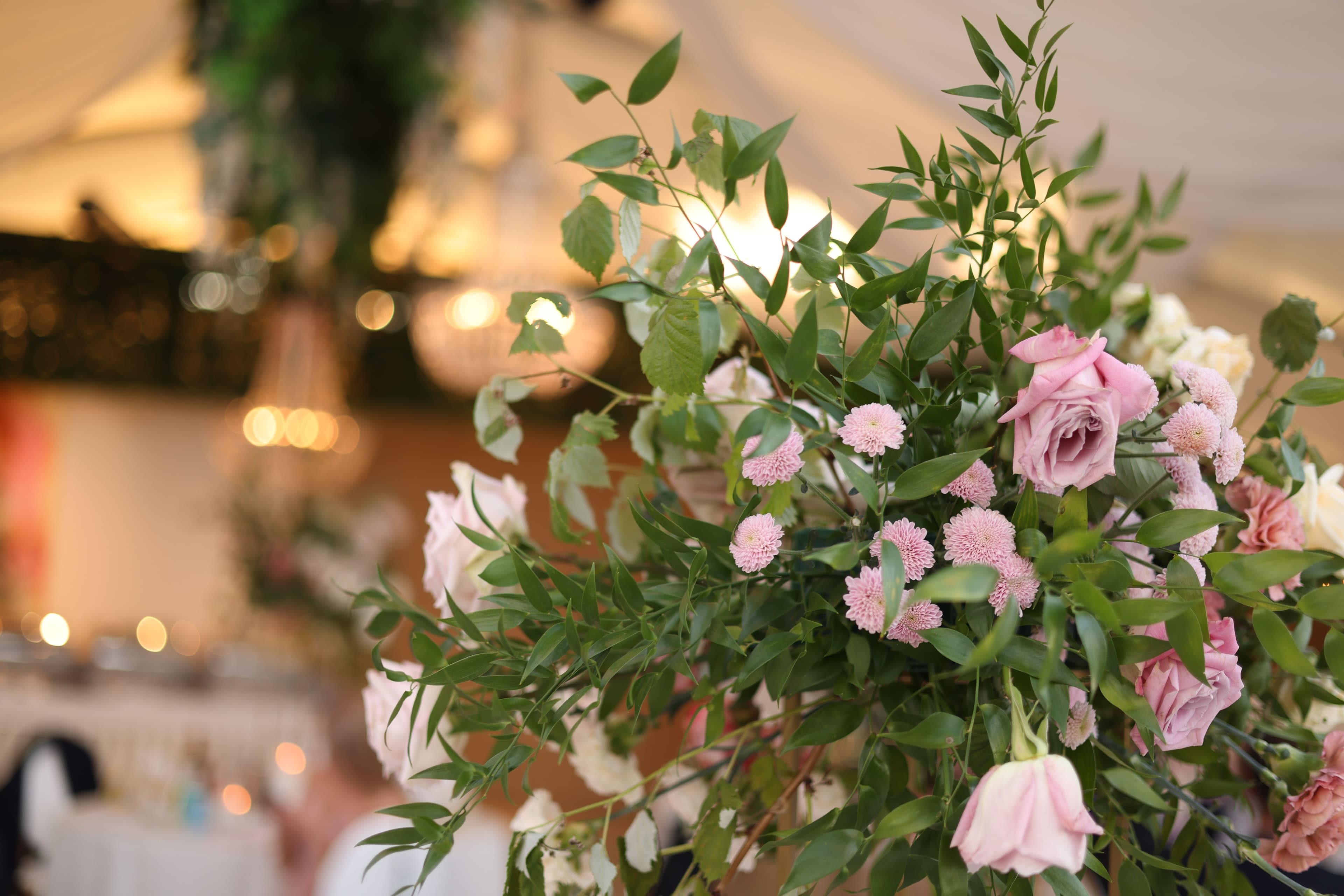 A wedding celebration in Cork